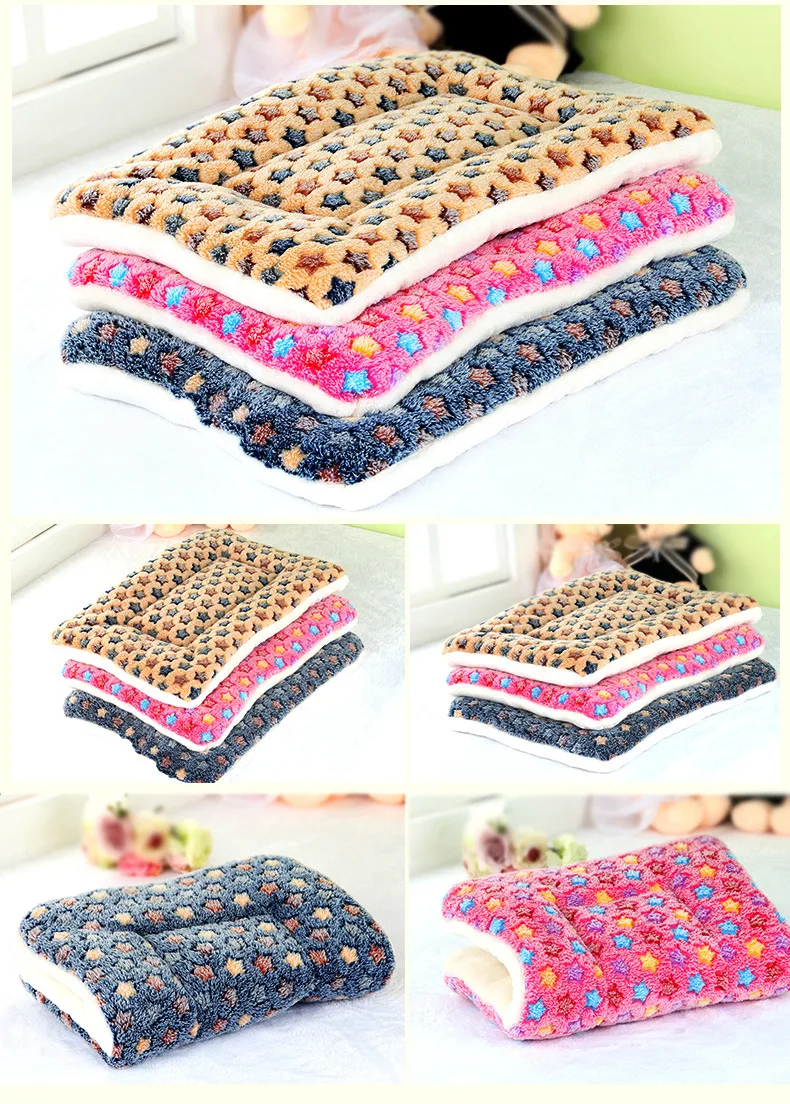 DBM010001 (9)
