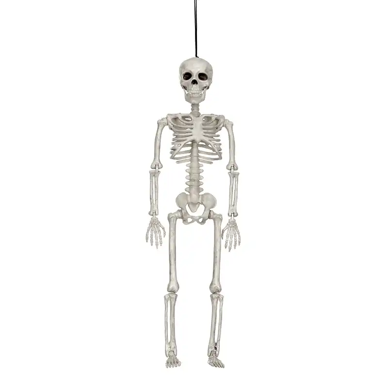 Posable Halloween Skeleton Full Body Halloween Skeleton Body