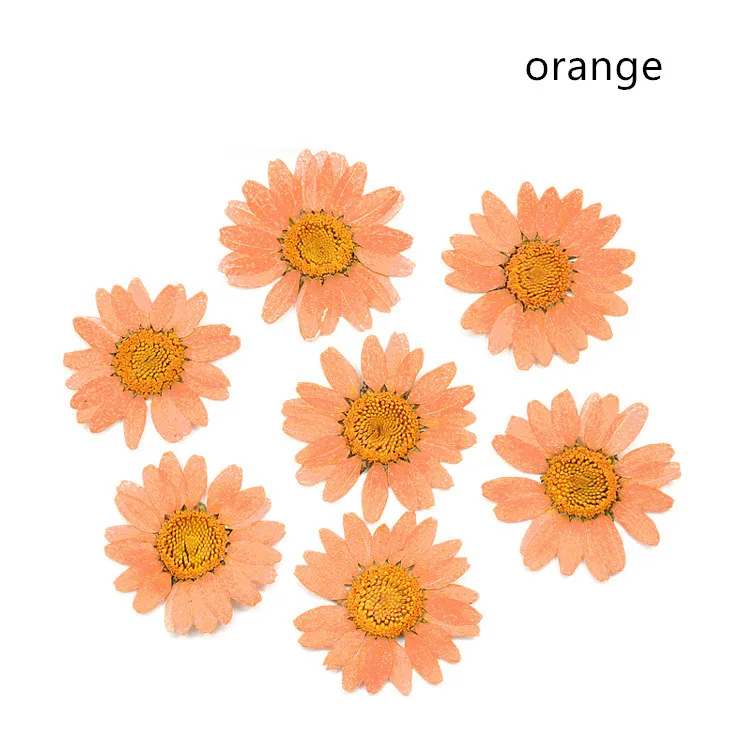 4202194712_1099731935