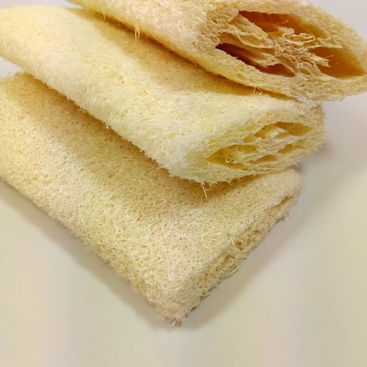 Harga Mandi Alami Loofah Spons Spa Datar Loofah Spons Mandi Kamar Mandi Aksesoris Leeco Toko Tanaman Loofah S8DIS49