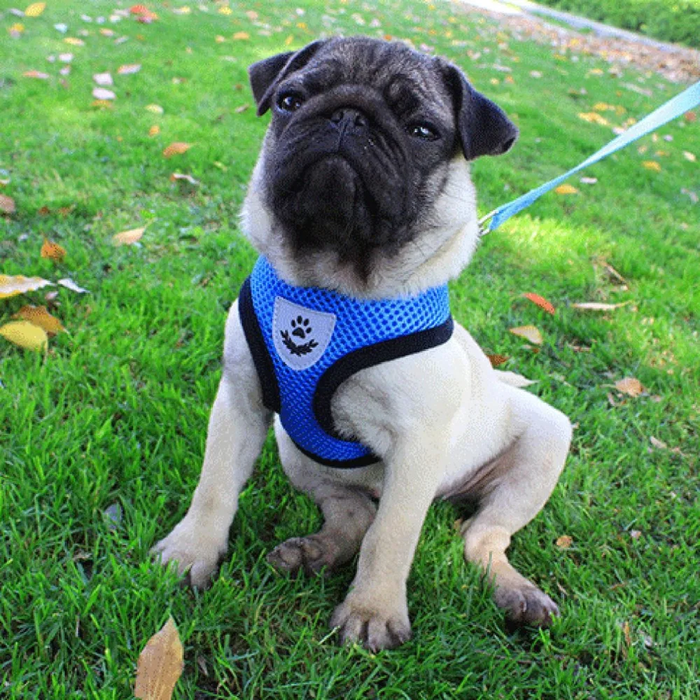 

2018 New Breathable Washable Pet Leash Strap StrConvnient Dog Vest-stylet Dress Bow Harness Dog leash Set for Small Dog Cat Pet
