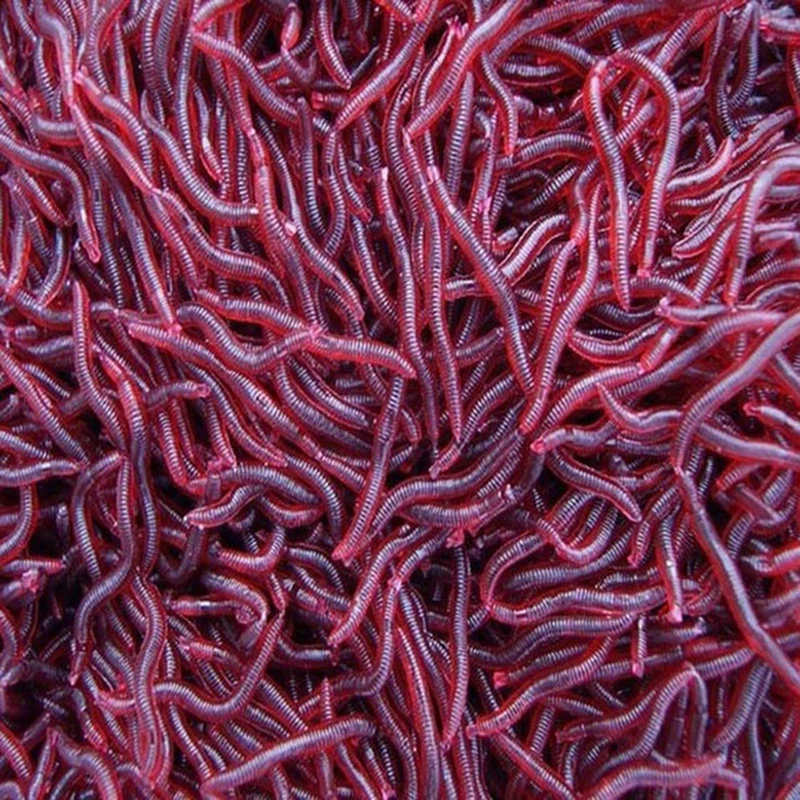 100pcs 4cm Dark Red Fishing Lure Earthworm Plastic Artficial Bait Fishy Smell