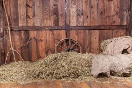7x5ft Rustic Barn Door Photo Backdrop Old Photography 7x5ft Rustic Barn Door Photo Backdrop Old Photography Background Brown Xt 4240