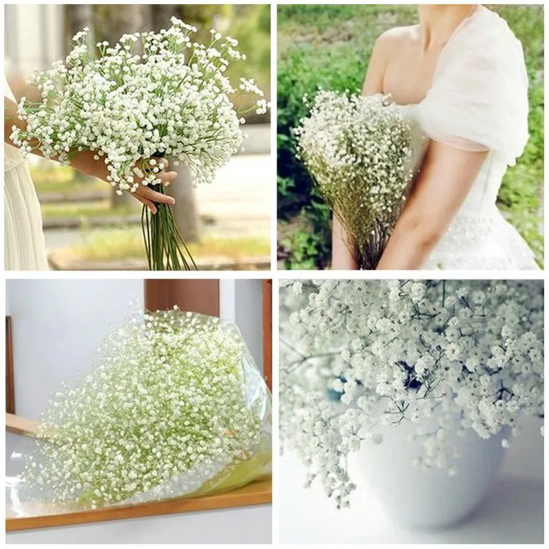 

50pcs / bag Exotic Gypsophila Flower Romantic White Gypsophila Paniculata Beautiful Starry Plant for Home Garden Planting