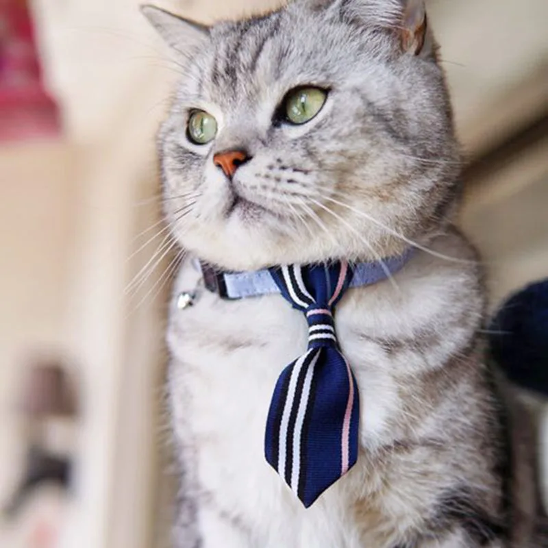 Модный дизайн ошейник для питомца в полоску ошейник для питомца кошки щенка ошейник с колокольчиком регулируемый галстук для щенка котенка галстук-бабочка воротник 4 цвета
