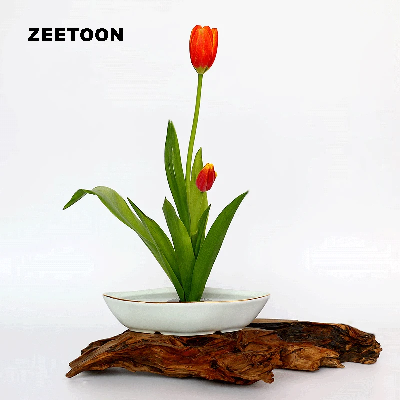 Japanese Flower Pot Flowerpot Golden Edge Rhombic Hydroponic Tabletop