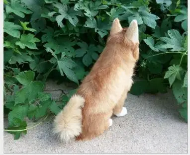  WYZHY simulation wolf dog birthday gift Christmas gift interior decoration teaching home model deco - 32968945659