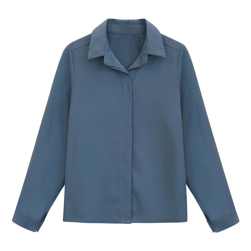 Новая Женская Весенняя рубашка с длинным рукавом Шифоновая Блузка простая Женская Чистая Корейская женская Большие одежда размеры модные рубашки D553 30