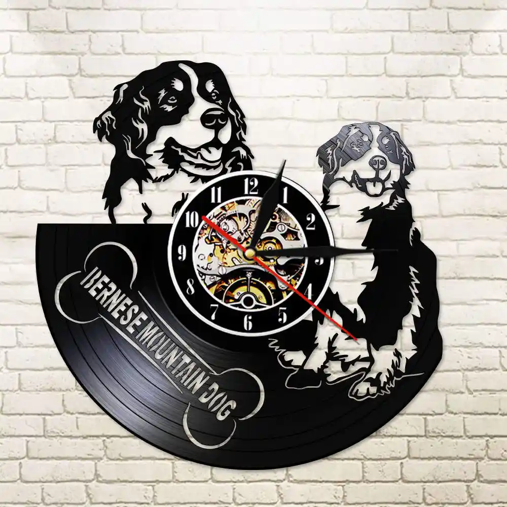 bernese mountain dog lovers