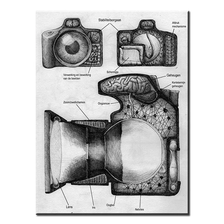 dp artisan home decor hd print art painting on canvasno frameblack and