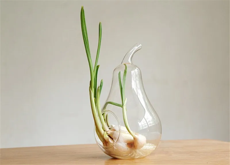 Apple Pear Fruit Planter Tabletop Vase Planter Glass Plant Flower Terrarium Decor Container Hydroponic Pot Home Wedding Party Decoration 1