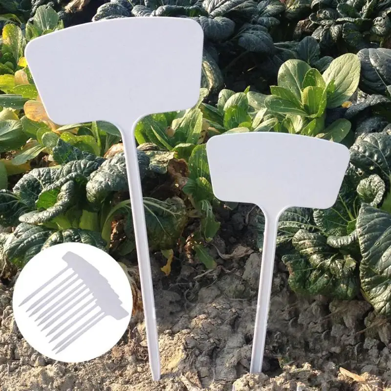

10Pcs T-type Plastic Garden Plant Labels Flower Tag Marker Stick Nursery Pot Tags Pot Garden Decoration Tools