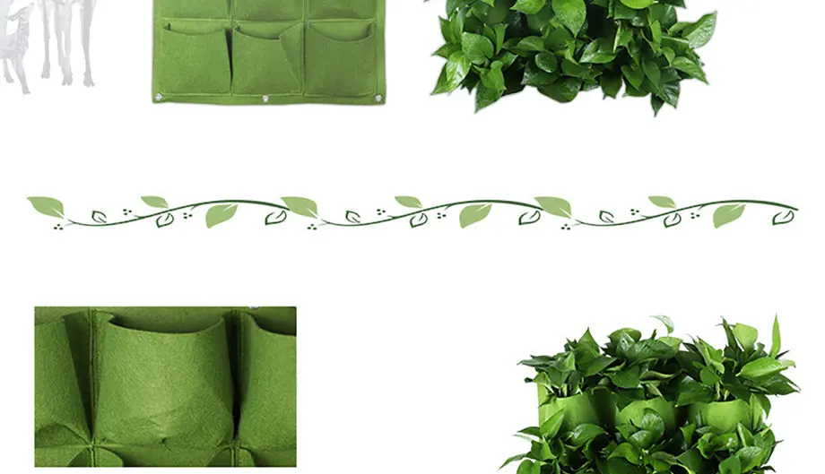 6606636665_467029024_02