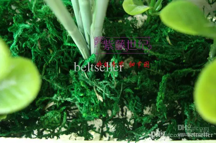  High quatity green moss Wedding Home DIY Decorative Garland Flowers Dried Floral flower arrangement decoration 200g