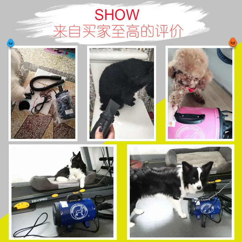 Pet cat фен для собак высокой мощности немой большой средний и маленький общий тип длинные волосы золотые волосы быстросохнущая вода выдувная машина