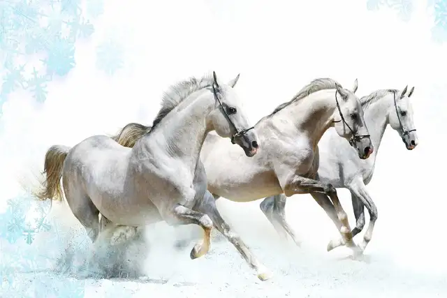 Diy Frame 3 White Horses Running Wild Animal Nature Art Silk Fabric Sketch Style Poster Print Picture