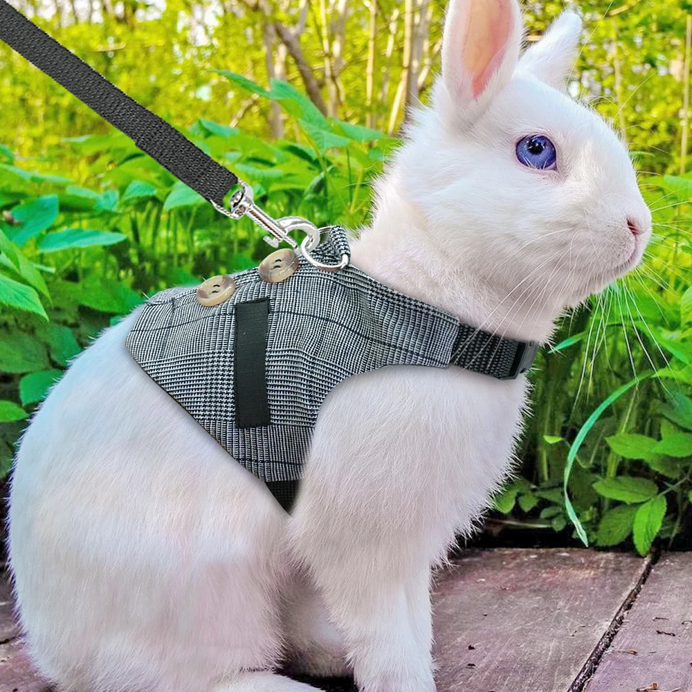 Многофункциональный Стильный маленький поводок для питомцев Chinchillas жилет