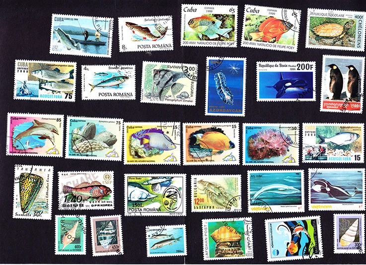 O1CN01zUn5bg21ZaYKbLnyq_!!136196999