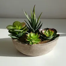 Имитация мясистое растение костюм имитация зеленой посадки имитация мясистого маленького бонсай в горшке дом имитация цветка украшение дома