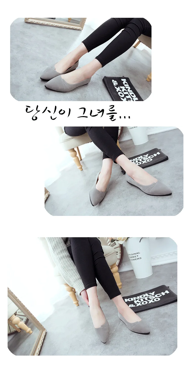 3862362737_804913782