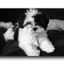 Модные Гостиная коврик Ши-тцу щенок 40х60 см коврик пользовательские двери коврик Home decor ковер Мода ковер