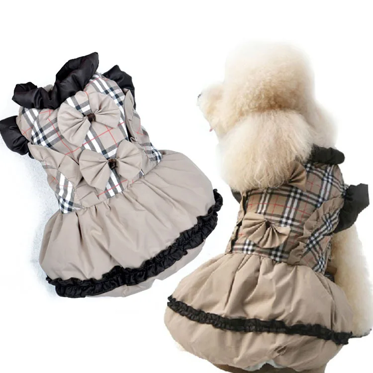 small dog coats for winter small dog coats for winter