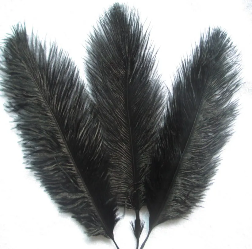 Manufacturers sell 100 pcs high quality black ostrich feathers 6 8