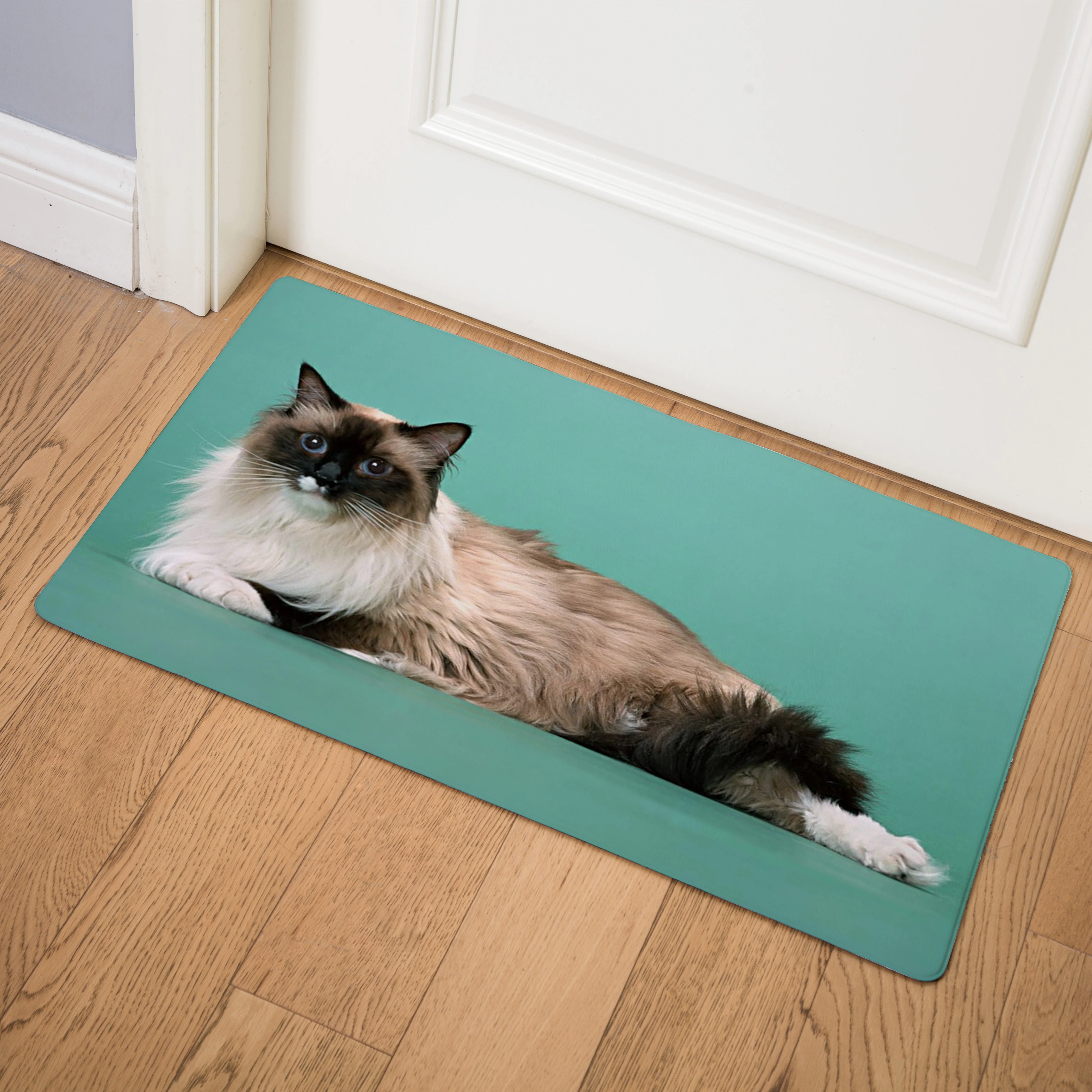 

Lovely Persian cat Enter Door Mat Kitchen Carpet Front Doormat Kitchen Rug Home Mat Indoor Non-slip Bath Mats Welcome Floor Mats