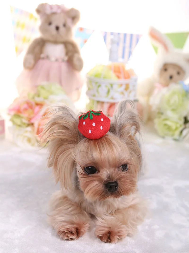 Newest-Cute-Pet-Dog-Cat-dog-grooming-Hairpin-Beauty-Supplies-Cartoon-Strawberry-Frog-Bee-Bows-Hair-Clips-Headwear-PL0124 (6)