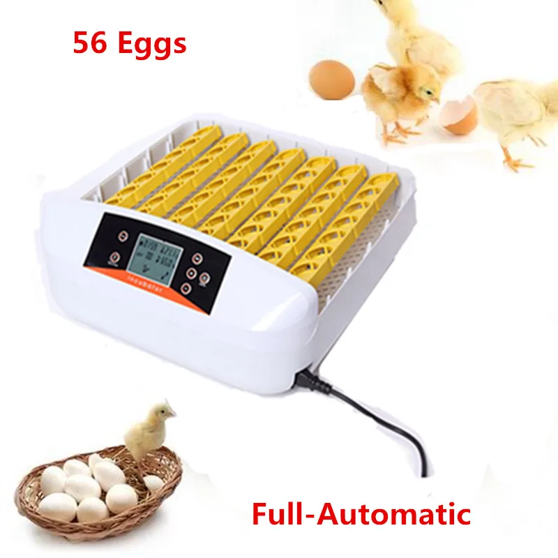 

Mini home use electric incubator Auto eggs-turning hatching machine best price quail egg incubator