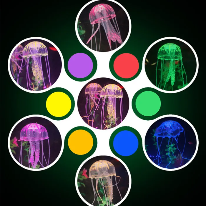 8089592886_1645901485