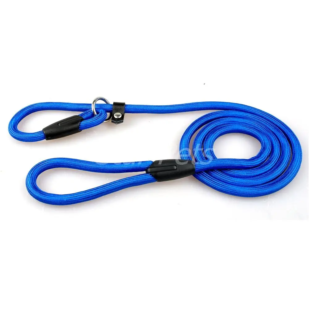 Nylon Dog Leash &amp; Collar Combination (Great for Training ...