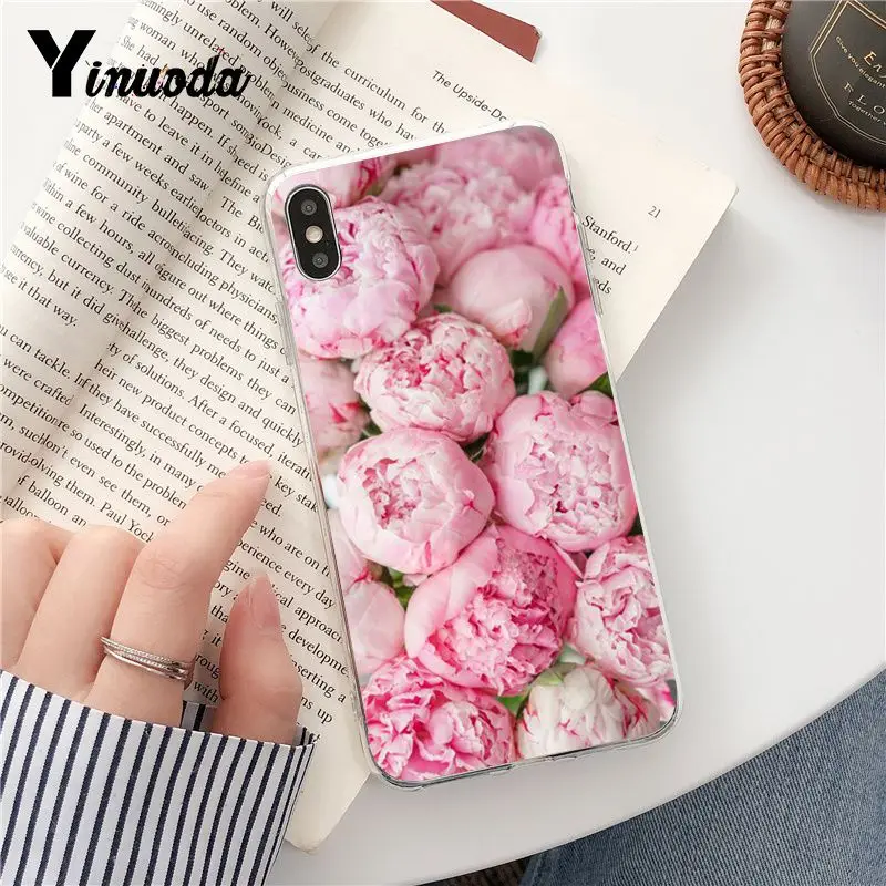 Pink Peonies
