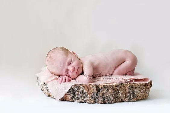 Лидер продаж! Детская фотография позы дерево пень деревянные подушки ломтик