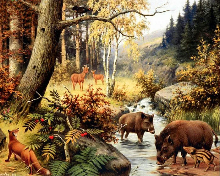 

5D diamond embroidery forset animals diamond cross stitch crystal round diamond arts decorative diy diamond painting wild boar