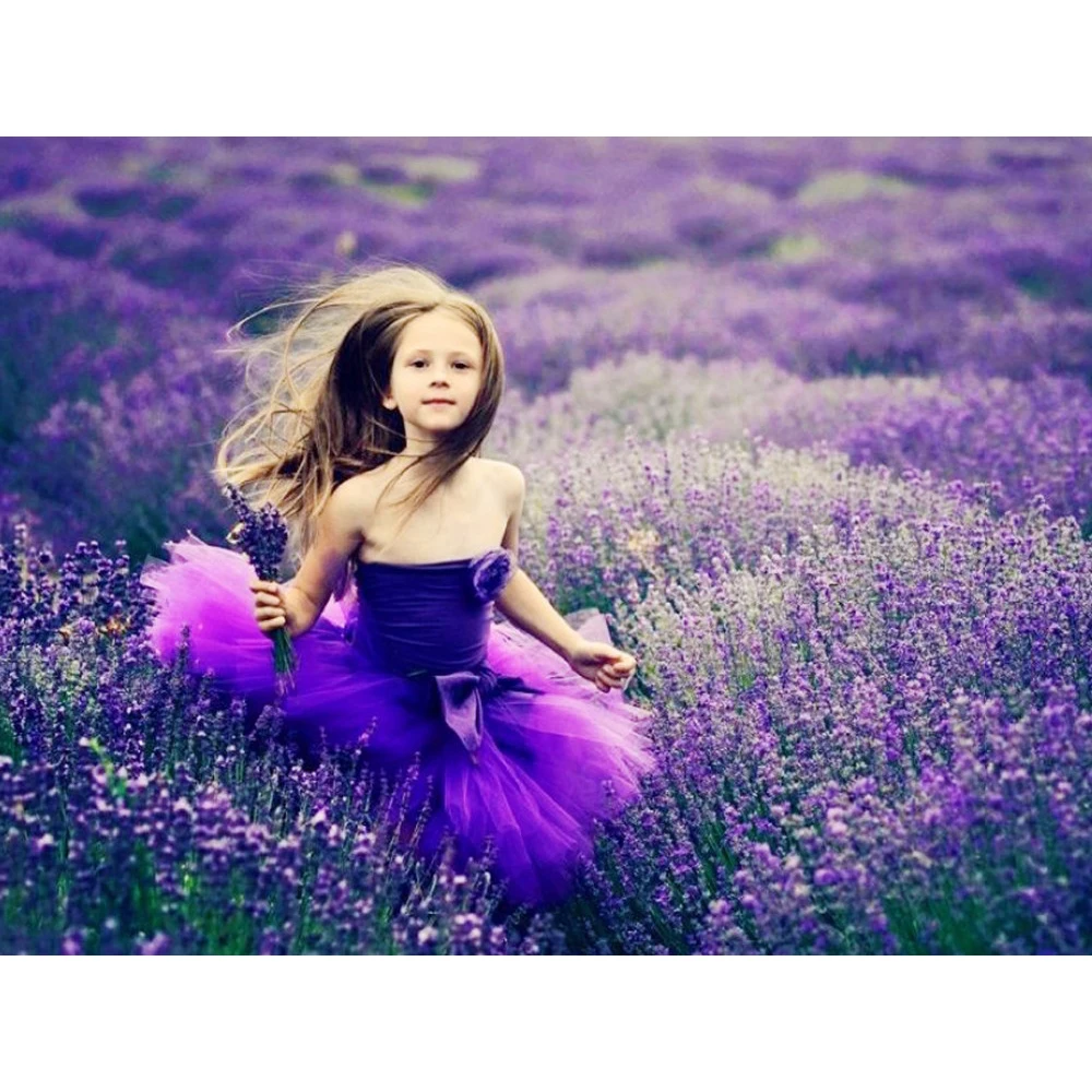 

Embroidery 5D DIY Diamond Painting lavender and girl Square Picture Cross Stitch Rhinestone Room Decoration Art KBL