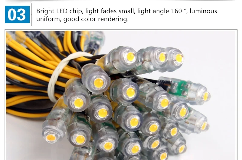 2915489273_1725409077