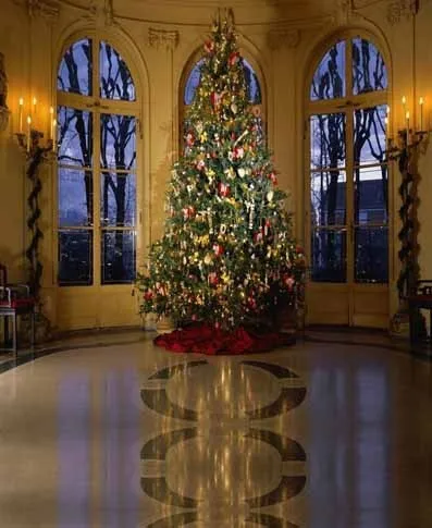 Christmas Trees Camera Photo Photography Digital Backdrop Cloth