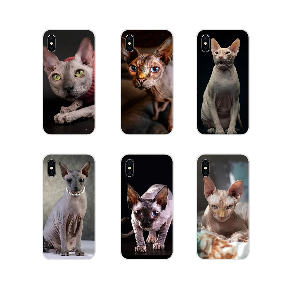 

sphynx cat kitty Accessories Phone Shell Covers For Samsung Galaxy A3 A5 A7 J1 J2 J3 J5 J7 2015 2016 2017