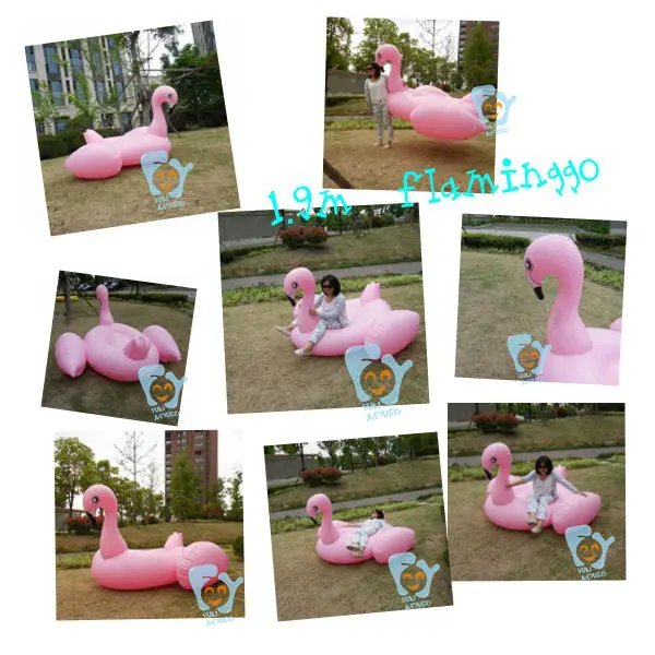1.9m old flamingo (3)