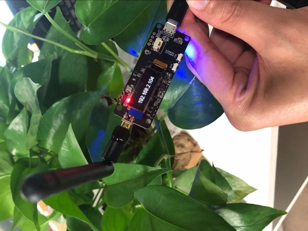 desenvolvimento ov2640 câmera sma wifi 3dbi antena 0.91 oled câmera placa