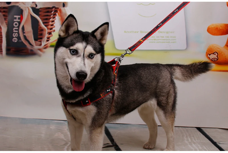 2852040769_1180513623