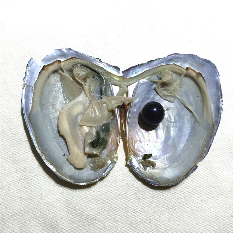 a-1 (9)