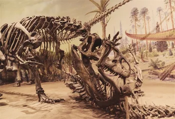 

Laeacco Jurassic Dinosaur Skeleton Fossil Age Baby Children Photo Backgrounds Customized Photographic Backdrops For Photo Studio