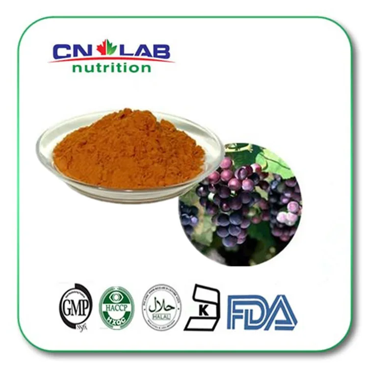 100% Water Soluble Grape Seed 500gram/bag Grape seed extract , grape seed extract powder 95% OPC with best price 100% pure fenugreek seed extract methi extract
