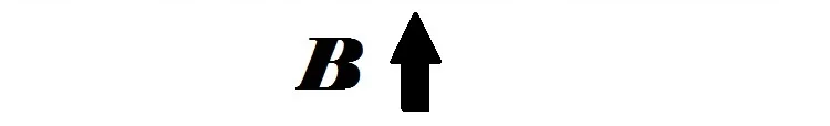 B 2