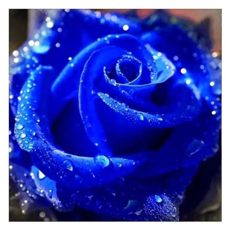 

Rhinestone Rose Painting 5D DIY Diamond Painting Embroidery Cross Stitch Needlework Kit Mosaic Picture Wall Home Decoration