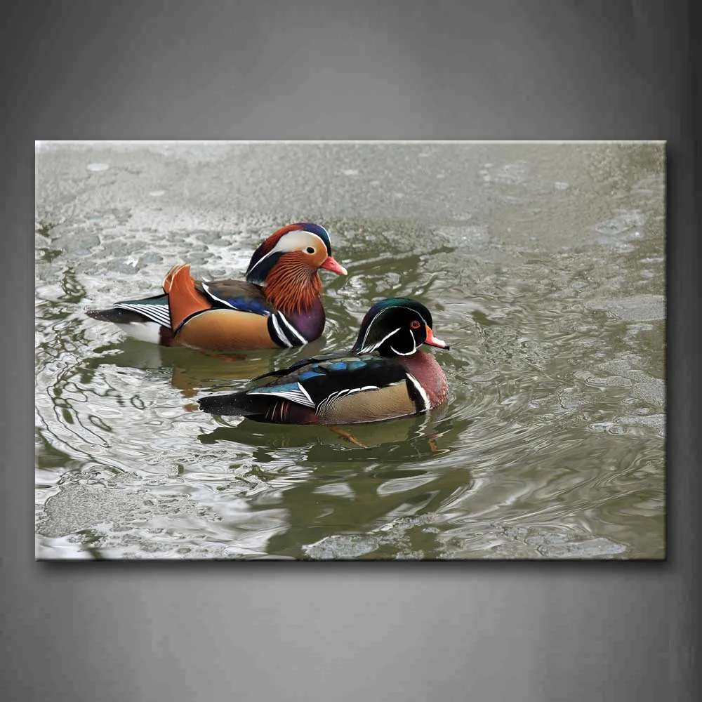 

1 Pic Framed Wall Art Picture Duck Water Canvas Print Animal Modern Poster With Wooden Frame For Room And Office Decor