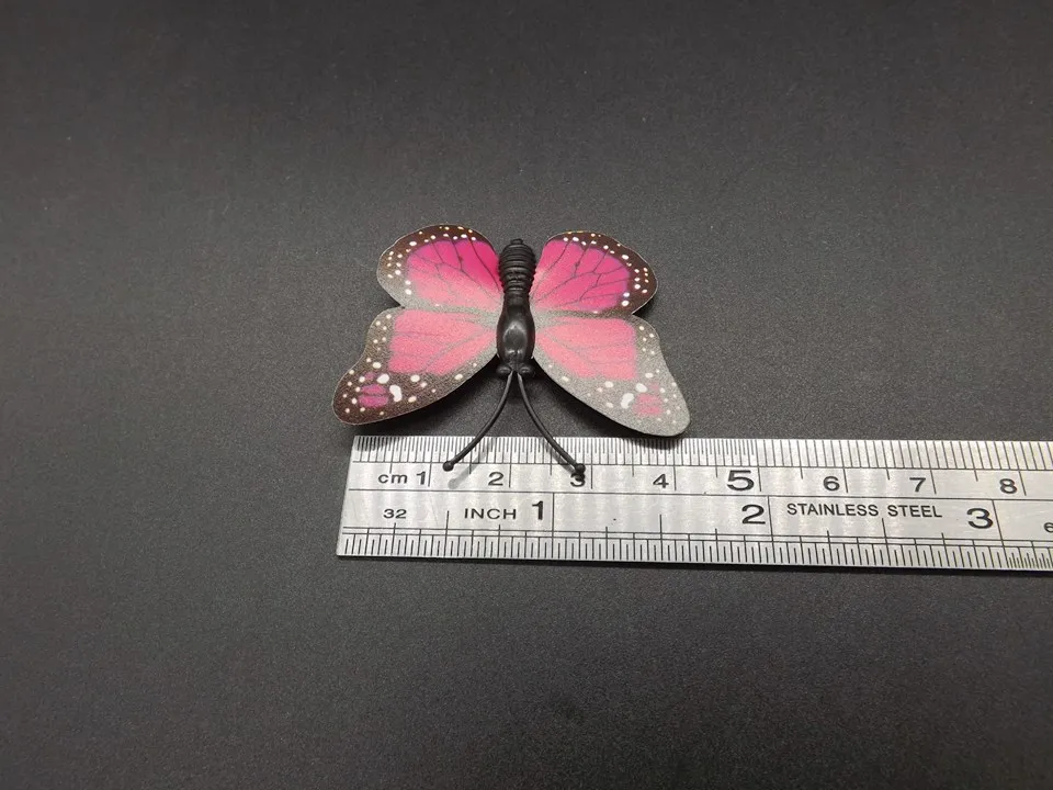 I249-Butterfly (12)