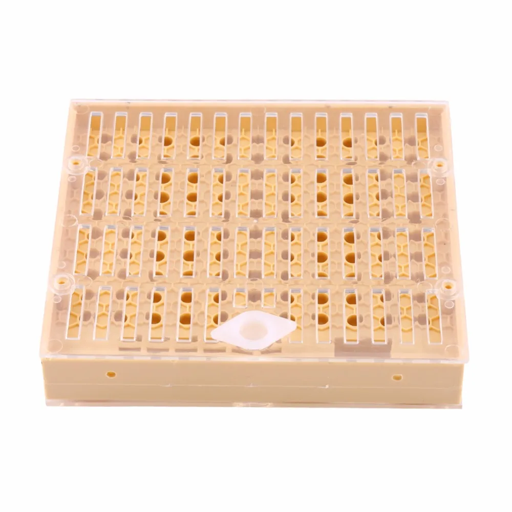 

Hot Sale Beekeeping Cup Bee Keeper Tools Queen Rearing Bee Cupkit Box System Beekeeping Tools Apiculture Supplier Queen Rearin